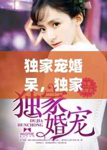 独家宠婚呆，独家宠婚txt 