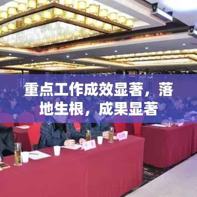 重点工作成效显著，落地生根，成果显著