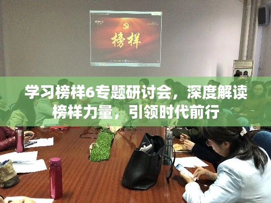 学习榜样6专题研讨会，深度解读榜样力量，引领时代前行