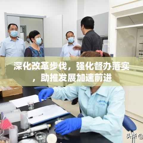 深化改革步伐，强化督办落实，助推发展加速前进