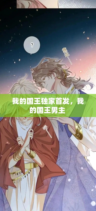 我的国王独家首发,我的国王男主