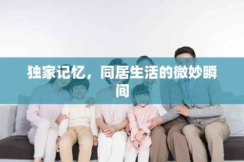 独家记忆,同居生活的微妙瞬间