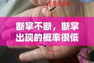 断掌不断，断掌出现的概率很低? 