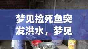 鸟云之阵 第5页