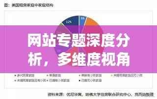 网站专题深度分析,多维度视角的挖掘与探讨