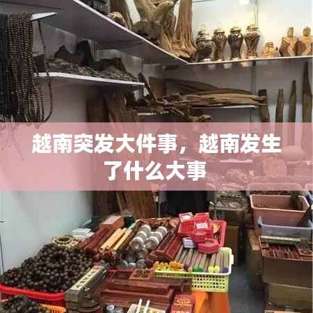 越南突发大件事,越南发生了什么大事