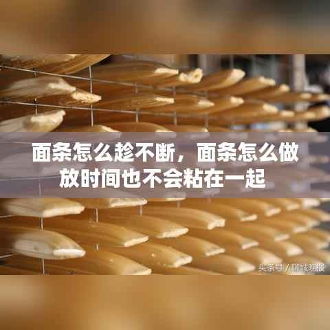 面条怎么趁不断,面条怎么做放时间也不会粘在一起