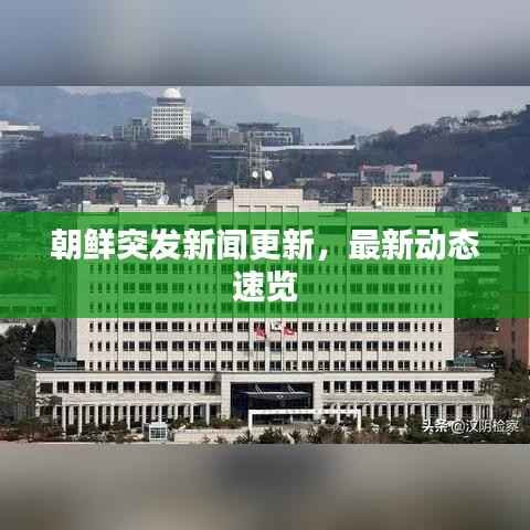 朝鲜突发新闻更新，最新动态速览
