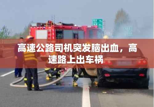 高速公路司机突发脑出血，高速路上出车祸 