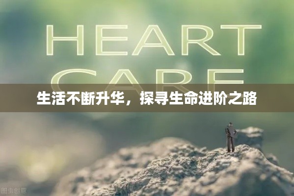 生活不断升华，探寻生命进阶之路
