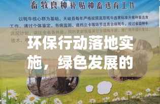 环保行动落地实施，绿色发展的坚实步伐