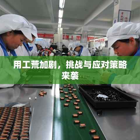 用工荒加剧，挑战与应对策略来袭