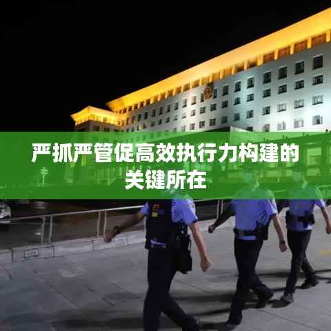 严抓严管促高效执行力构建的关键所在