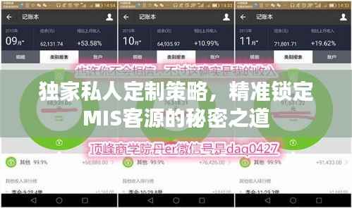 独家私人定制策略，精准锁定MIS客源的秘密之道