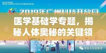 医学基础学专题，揭秘人体奥秘的关键领域探索