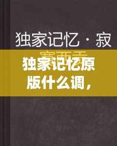 独家记忆原版什么调，独家记忆ost 
