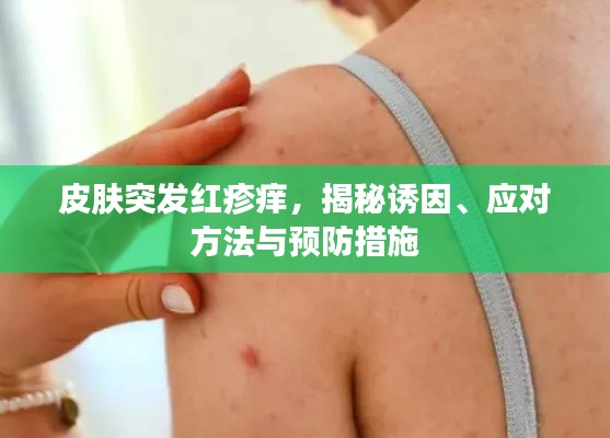 皮肤突发红疹痒，揭秘诱因、应对方法与预防措施