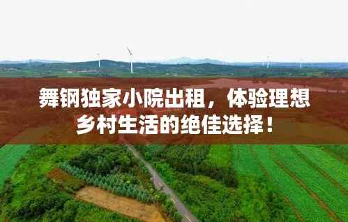 舞钢独家小院出租,体验理想乡村生活的绝佳选择!