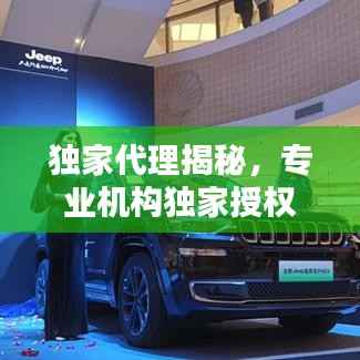 独家代理揭秘，专业机构独家授权的神秘面纱