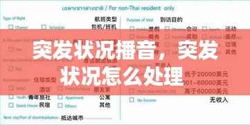 衣不完采 第5页