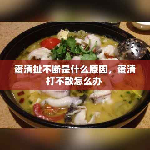 蛋清扯不断是什么原因,蛋清打不散怎么办