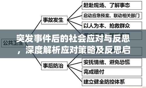 突发事件后的社会应对与反思,深度解析应对策略及反思启示