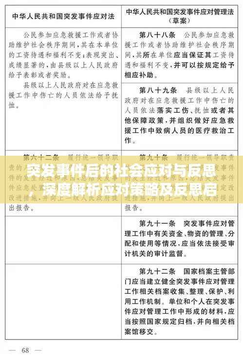 突发事件后的社会应对与反思,深度解析应对策略及反思启示