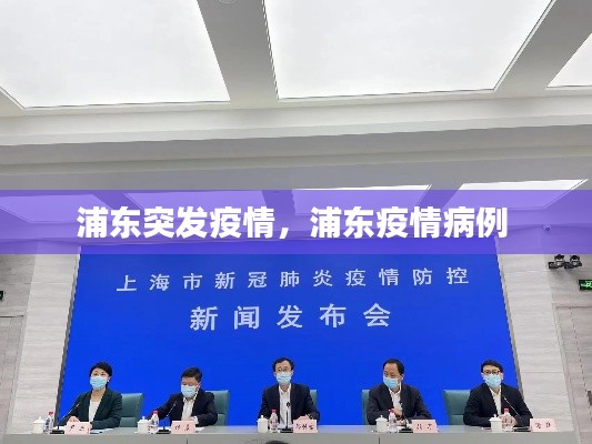 虎背熊腰 第5页