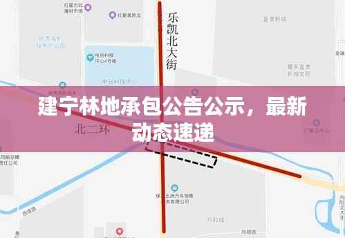 建宁林地承包公告公示,最新动态速递