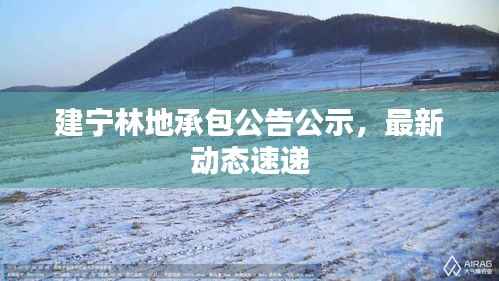 建宁林地承包公告公示,最新动态速递