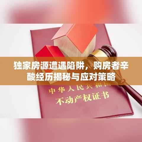 独家房源遭遇陷阱，购房者辛酸经历揭秘与应对策略