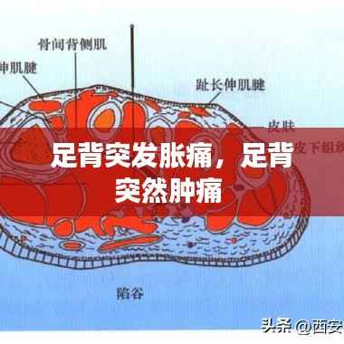 足背突发胀痛，足背突然肿痛 