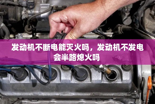 鸟语花香 第5页