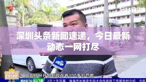 深圳头条新闻速递,今日最新动态一网打尽