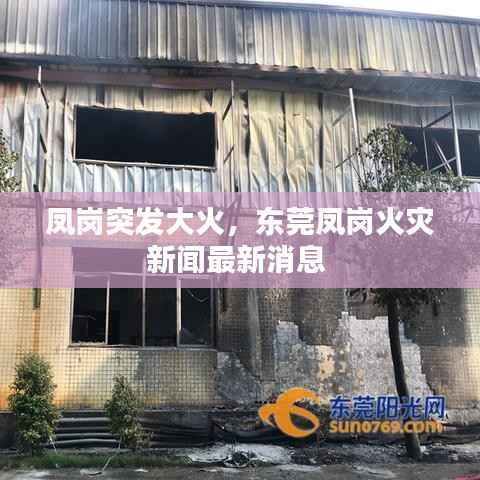 凤岗突发大火,东莞凤岗火灾新闻最新消息