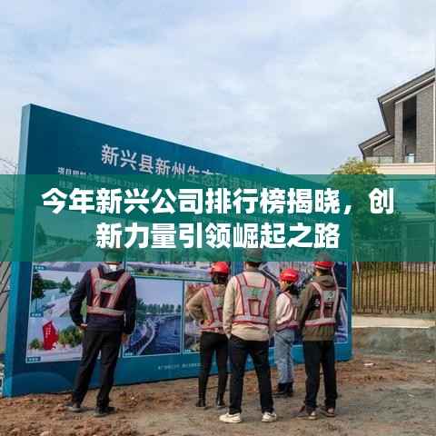 今年新兴公司排行榜揭晓，创新力量引领崛起之路