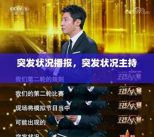 正襟危坐 第5页