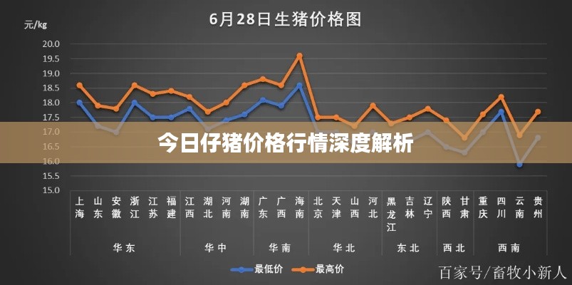 今日仔猪价格行情深度解析