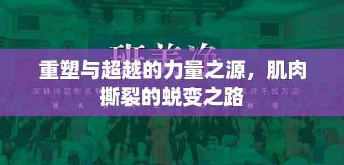 重塑与超越的力量之源，肌肉撕裂的蜕变之路