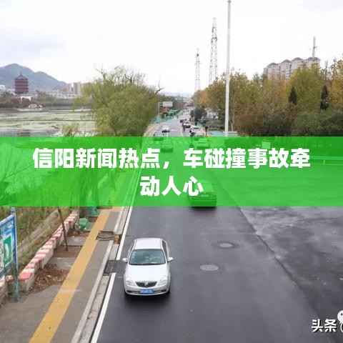 信阳新闻热点，车碰撞事故牵动人心