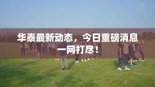 华泰最新动态，今日重磅消息一网打尽！