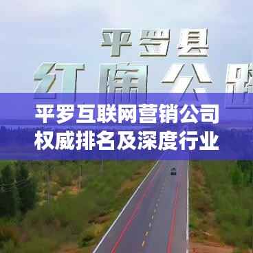 平罗互联网营销公司权威排名及深度行业分析