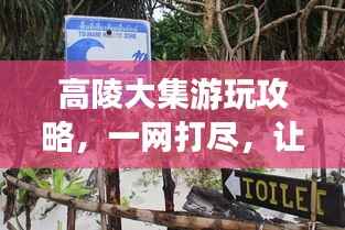 十全十美 第4页