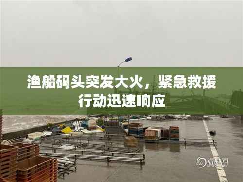 渔船码头突发大火,紧急救援行动迅速响应