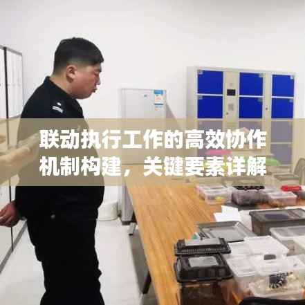 联动执行工作的高效协作机制构建，关键要素详解