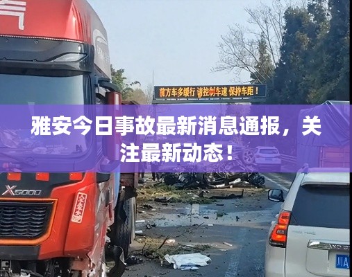 雅安今日事故最新消息通报，关注最新动态！