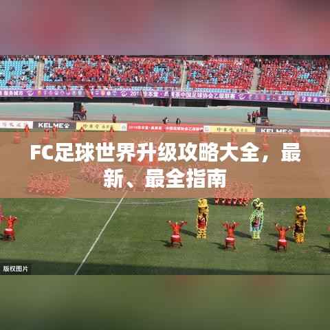 FC足球世界升级攻略大全,最新、最全指南