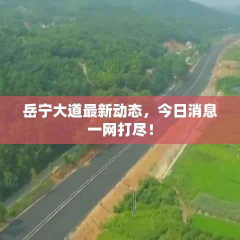 岳宁大道最新动态,今日消息一网打尽!