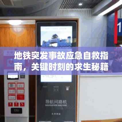 物以希为贵 第5页