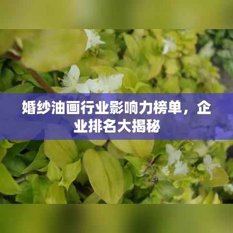 婚纱油画行业影响力榜单，企业排名大揭秘